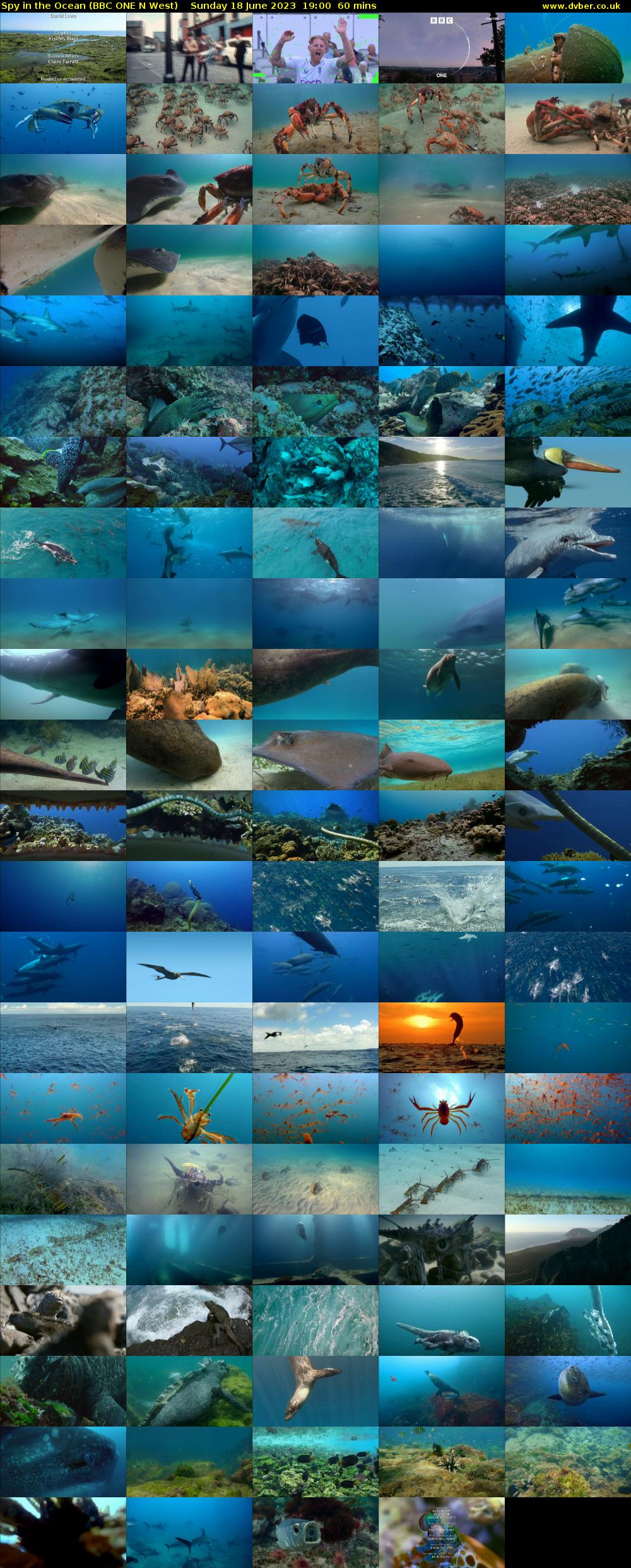 Spy in the Ocean (BBC ONE N West) Sunday 18 June 2023 19:00 - 20:00