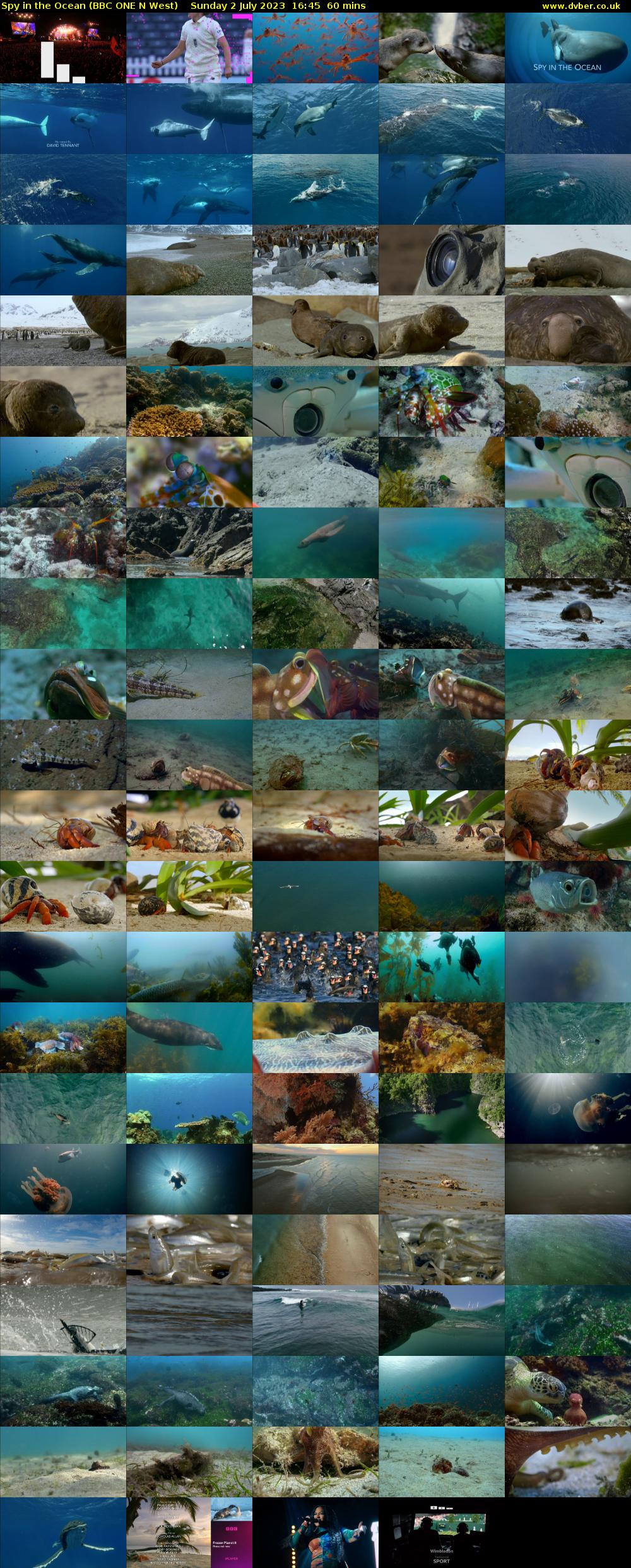 Spy in the Ocean (BBC ONE N West) Sunday 2 July 2023 16:45 - 17:45