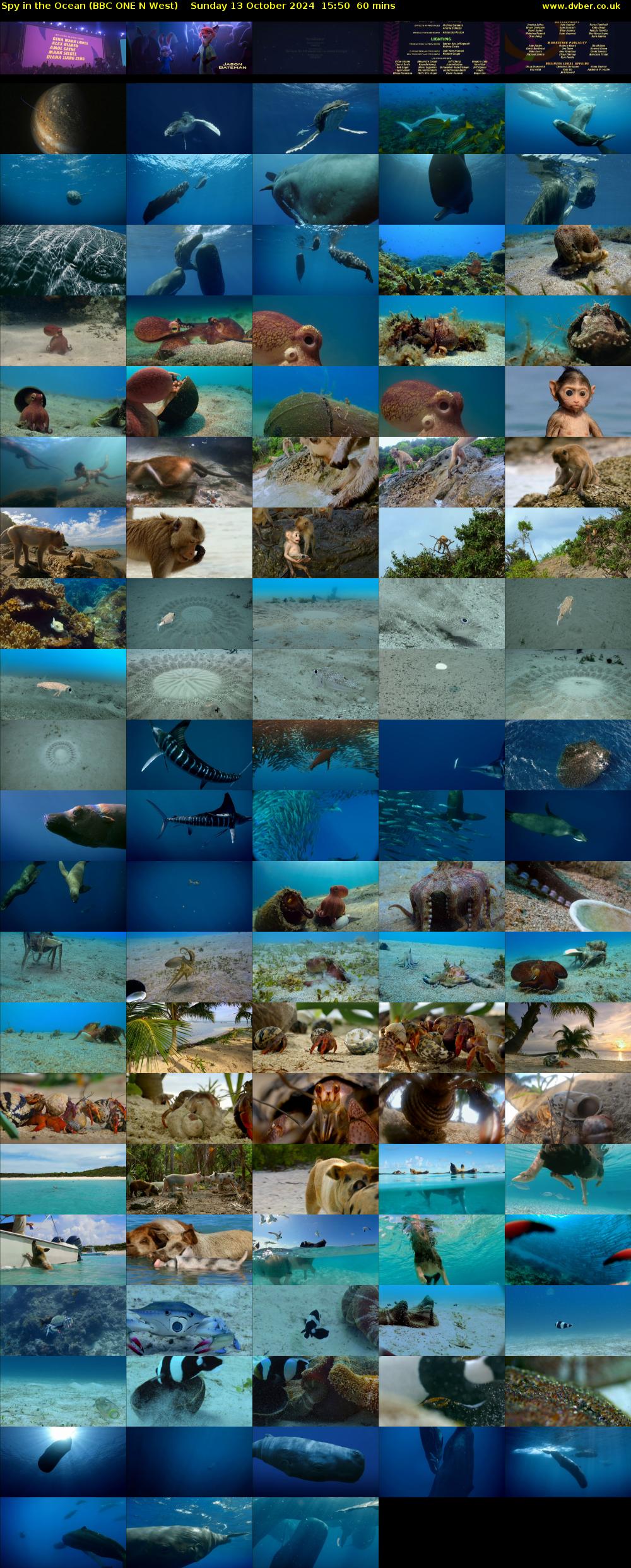 Spy in the Ocean (BBC ONE N West) Sunday 13 October 2024 15:50 - 16:50