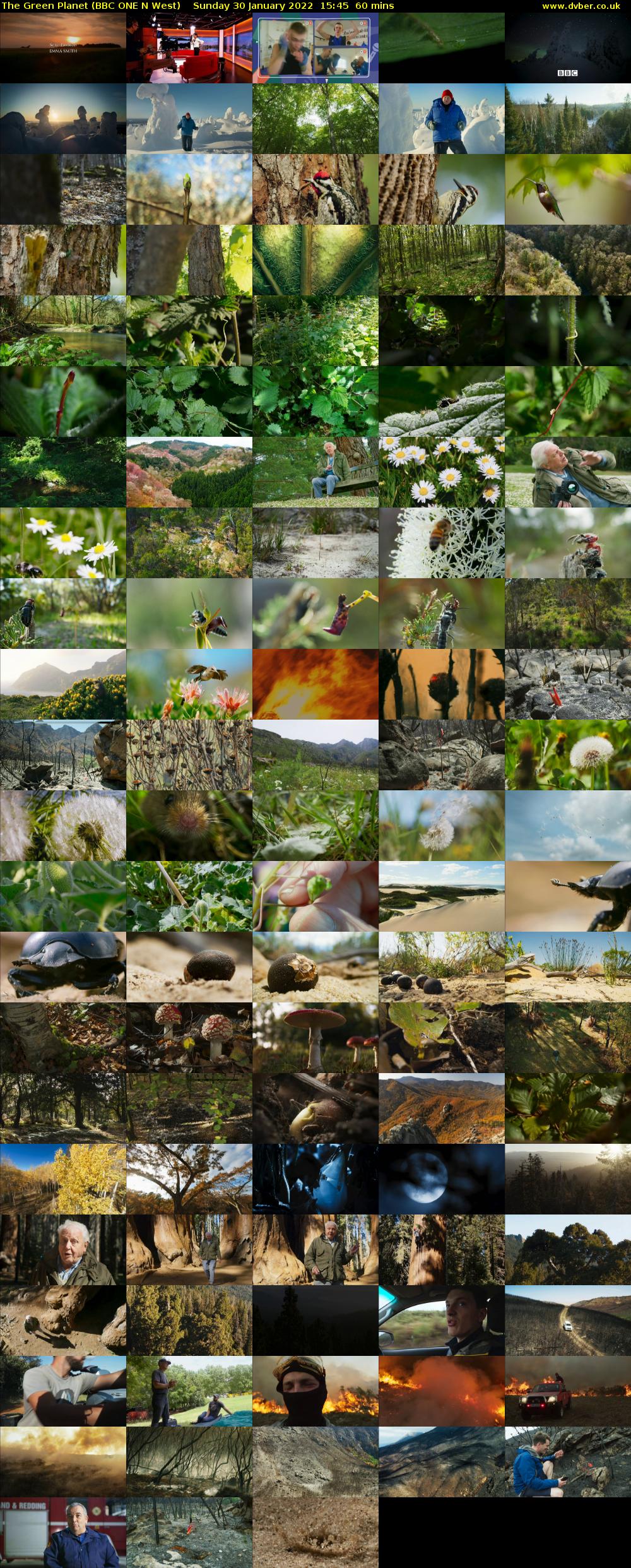 The Green Planet (BBC ONE N West) Sunday 30 January 2022 15:45 - 16:45