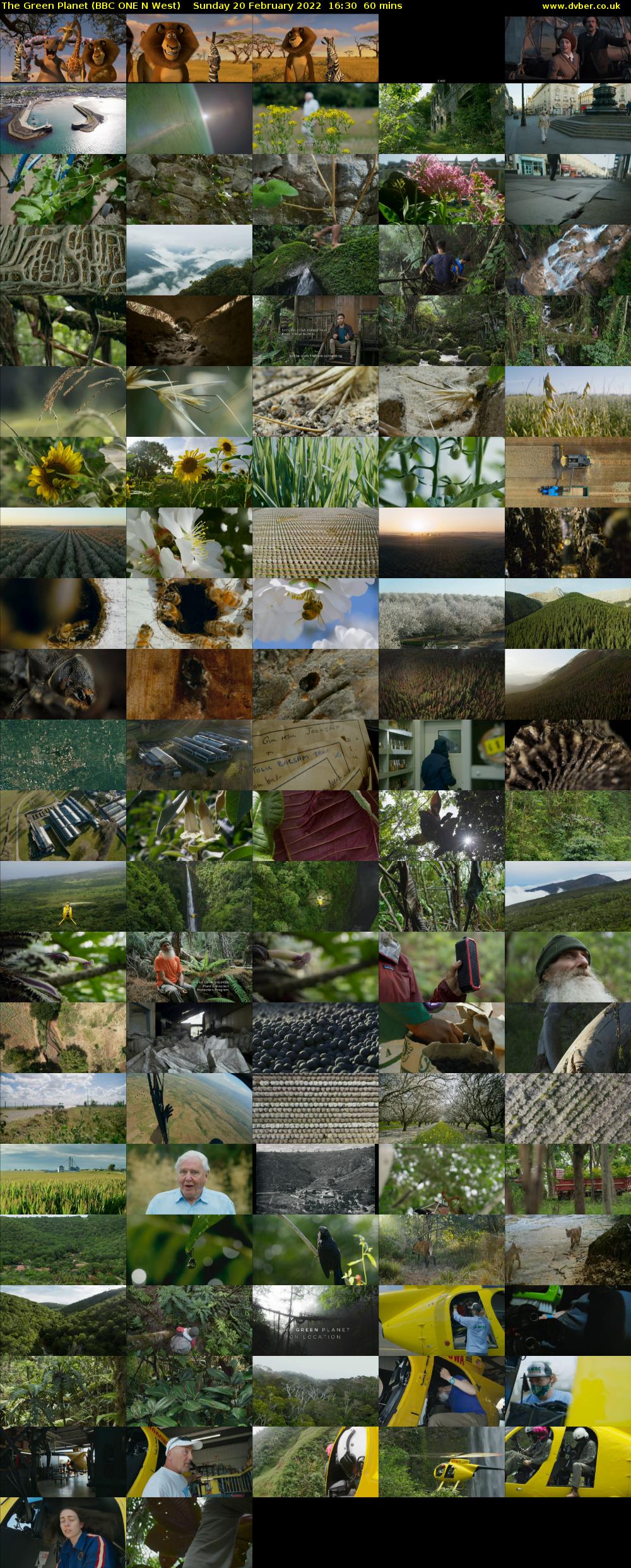 The Green Planet (BBC ONE N West) Sunday 20 February 2022 16:30 - 17:30