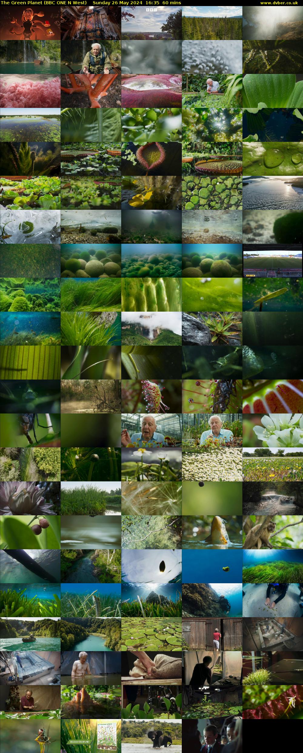 The Green Planet (BBC ONE N West) Sunday 26 May 2024 16:35 - 17:35