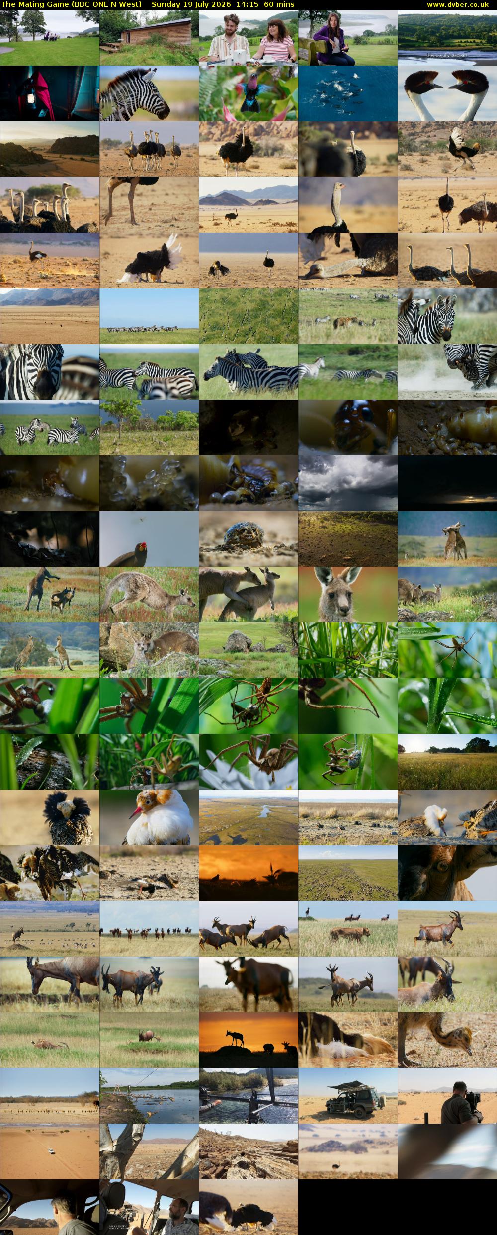 The Mating Game (BBC ONE N West) Sunday 19 July 2026 14:15 - 15:15