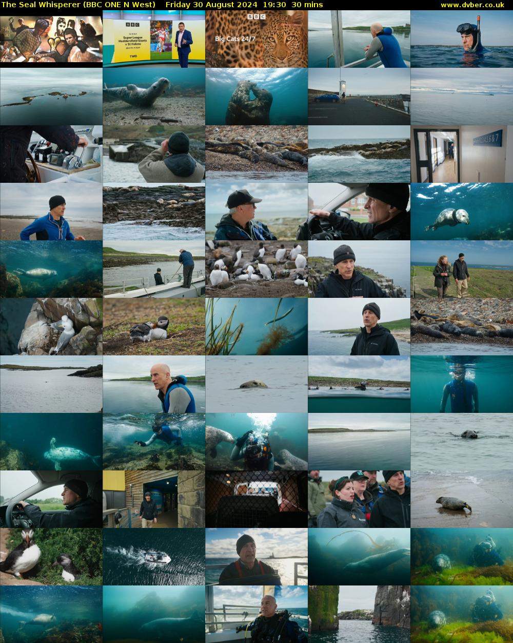 The Seal Whisperer (BBC ONE N West) Friday 30 August 2024 19:30 - 20:00