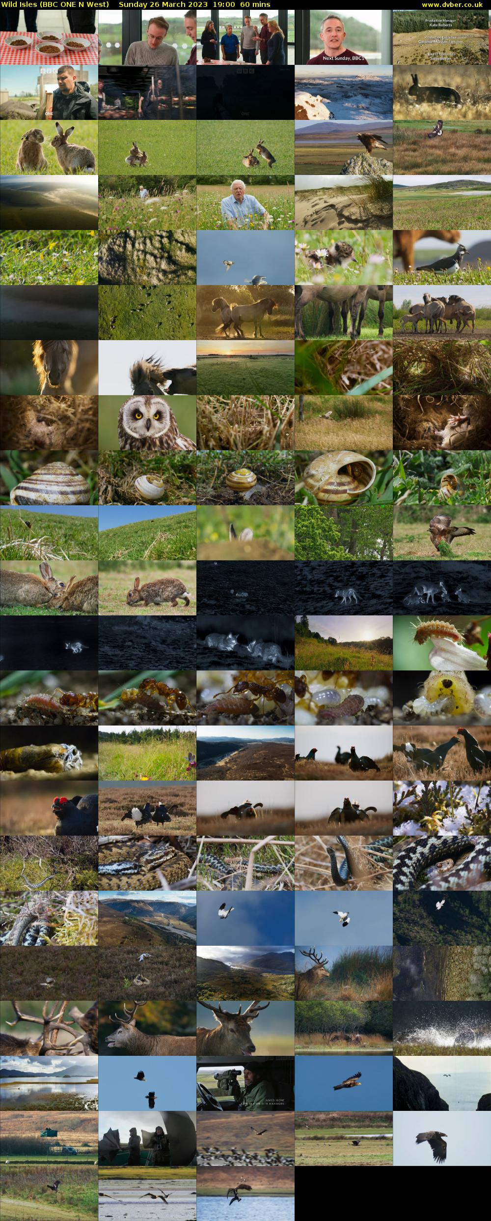 Wild Isles (BBC ONE N West) Sunday 26 March 2023 19:00 - 20:00