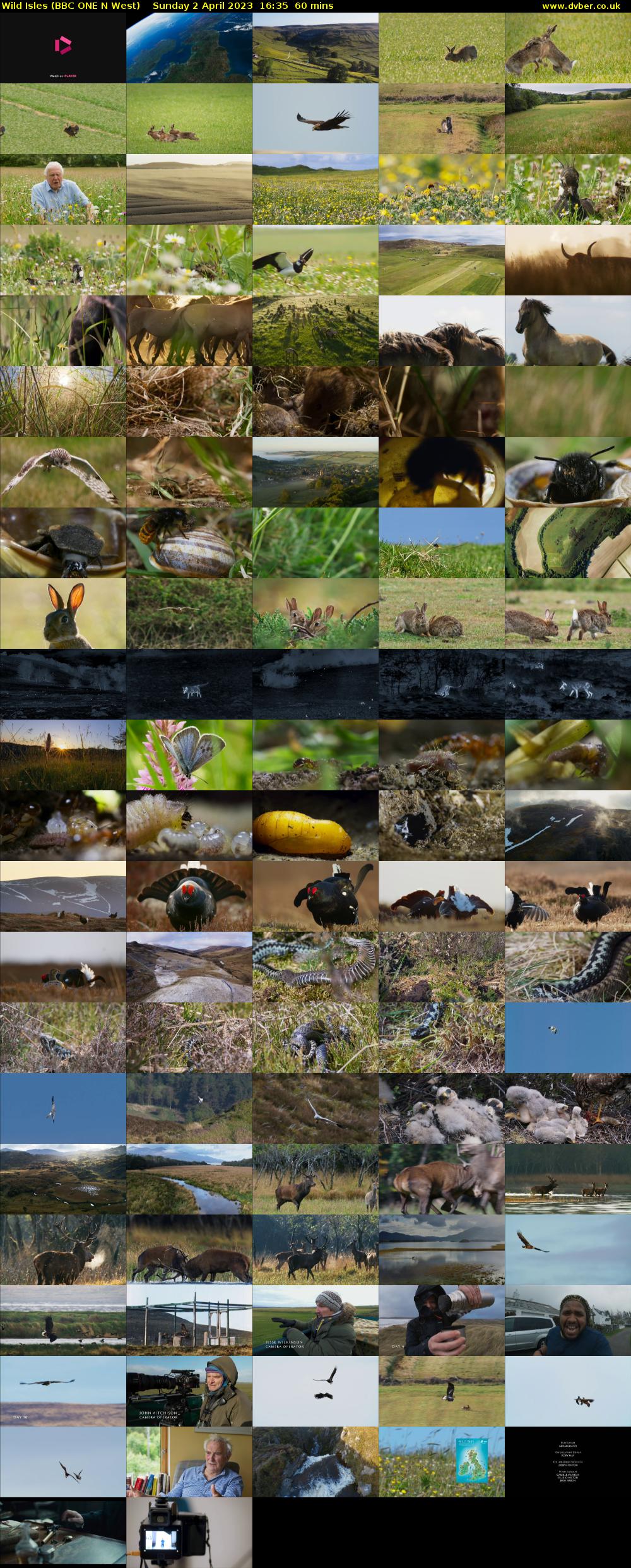 Wild Isles (BBC ONE N West) Sunday 2 April 2023 16:35 - 17:35