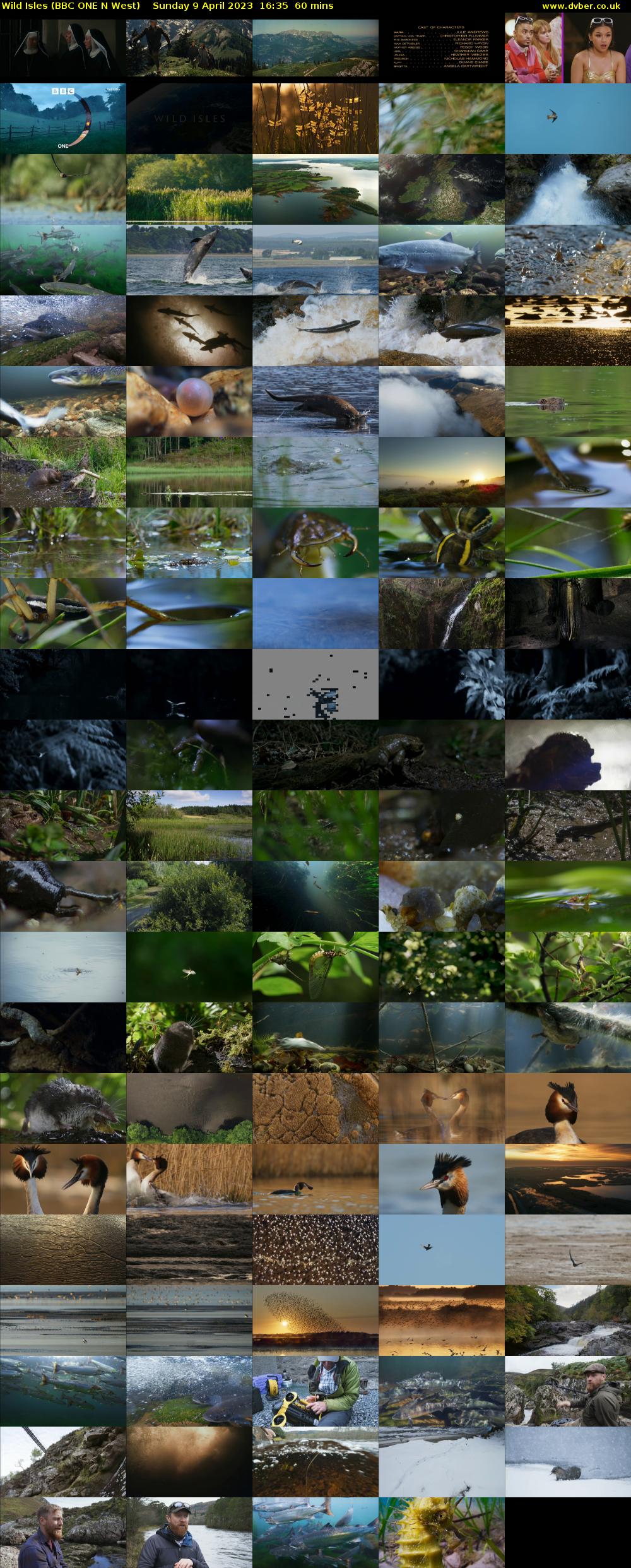 Wild Isles (BBC ONE N West) Sunday 9 April 2023 16:35 - 17:35