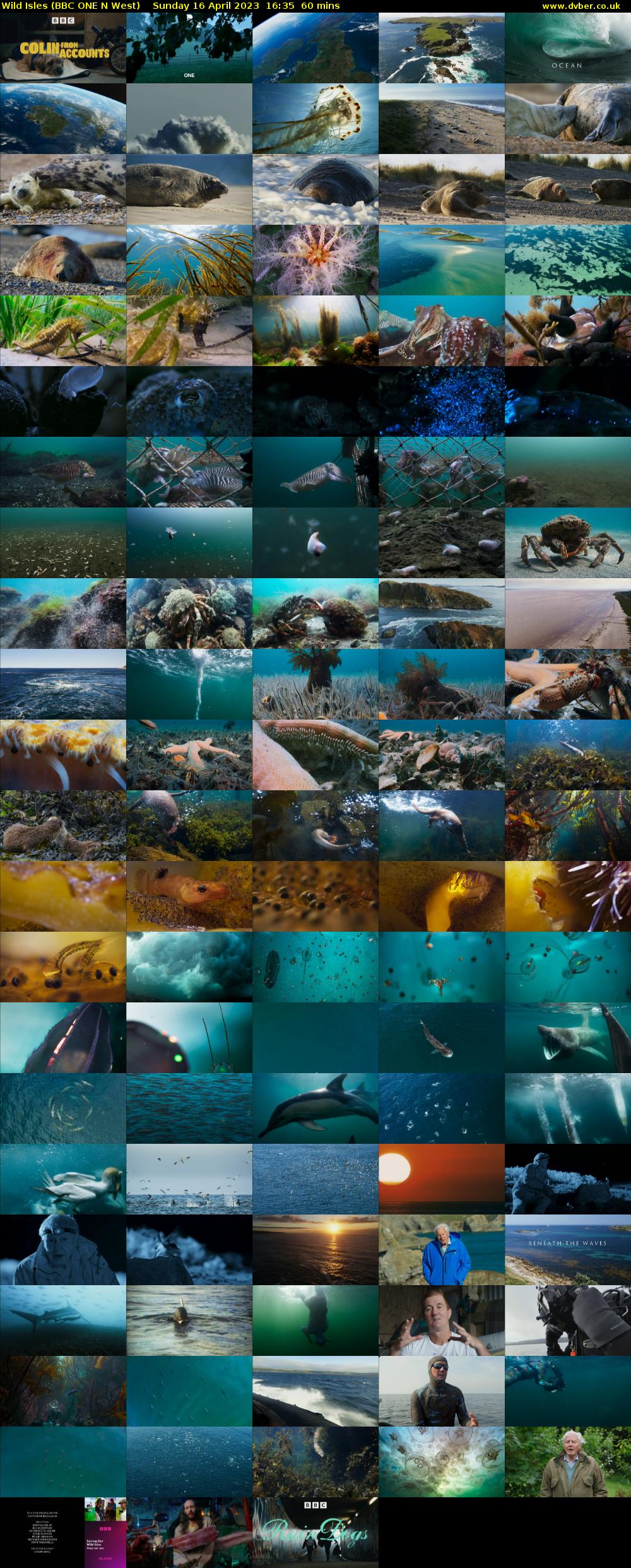 Wild Isles (BBC ONE N West) Sunday 16 April 2023 16:35 - 17:35