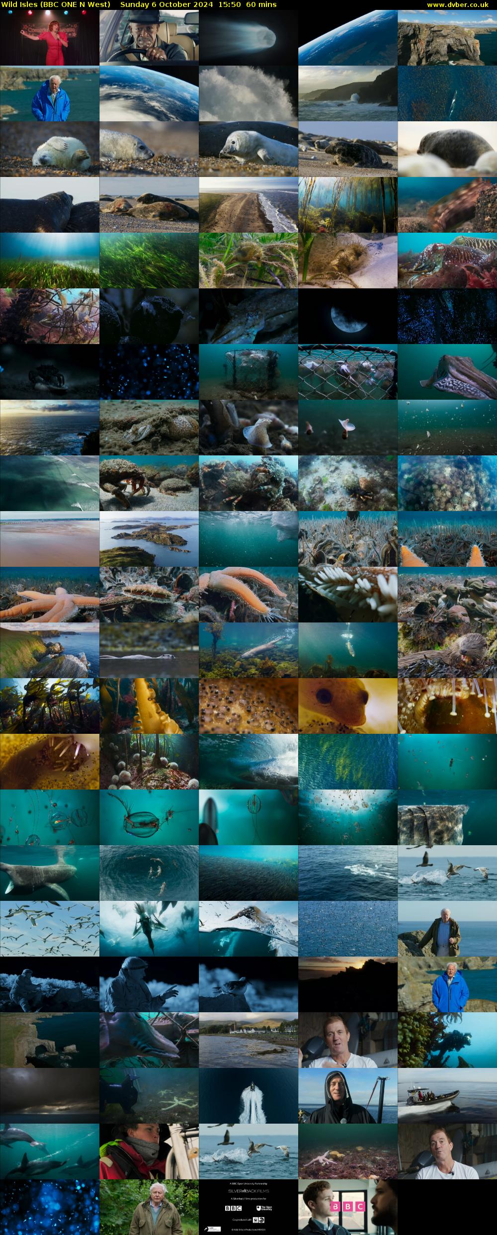 Wild Isles (BBC ONE N West) Sunday 6 October 2024 15:50 - 16:50