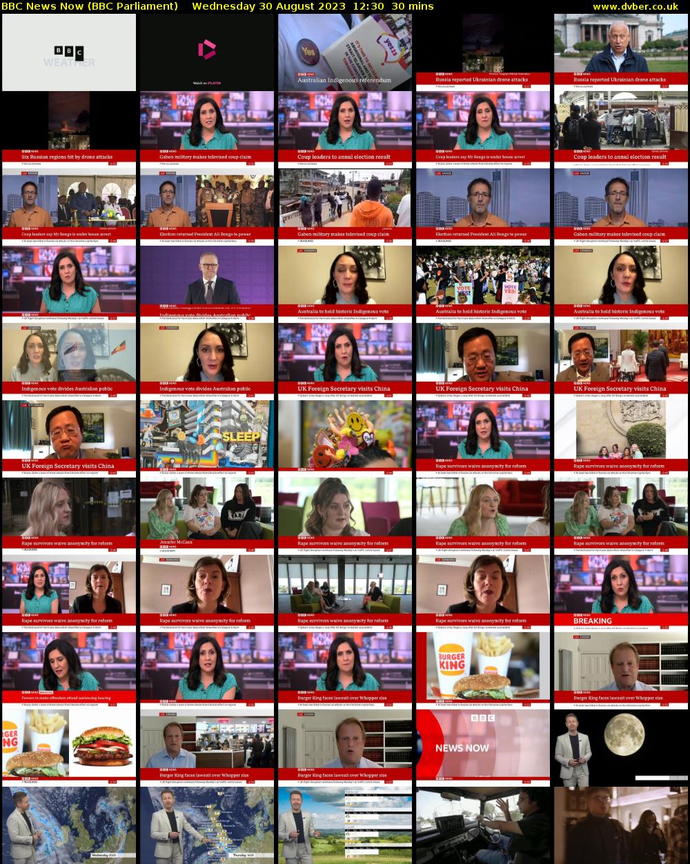 BBC News Now (BBC Parliament) Wednesday 30 August 2023 12:30 - 13:00