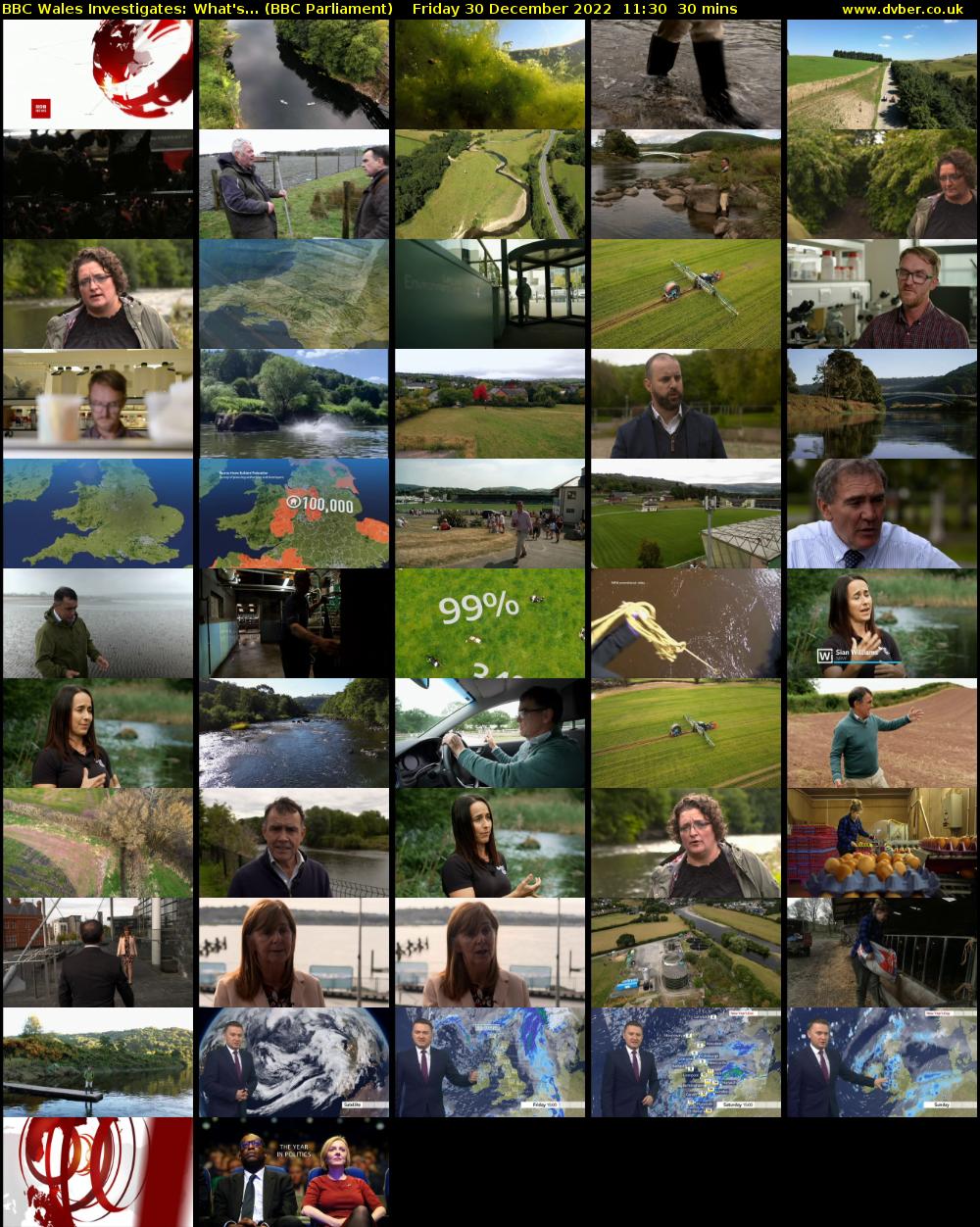 BBC Wales Investigates: What's... (BBC Parliament) Friday 30 December 2022 11:30 - 12:00
