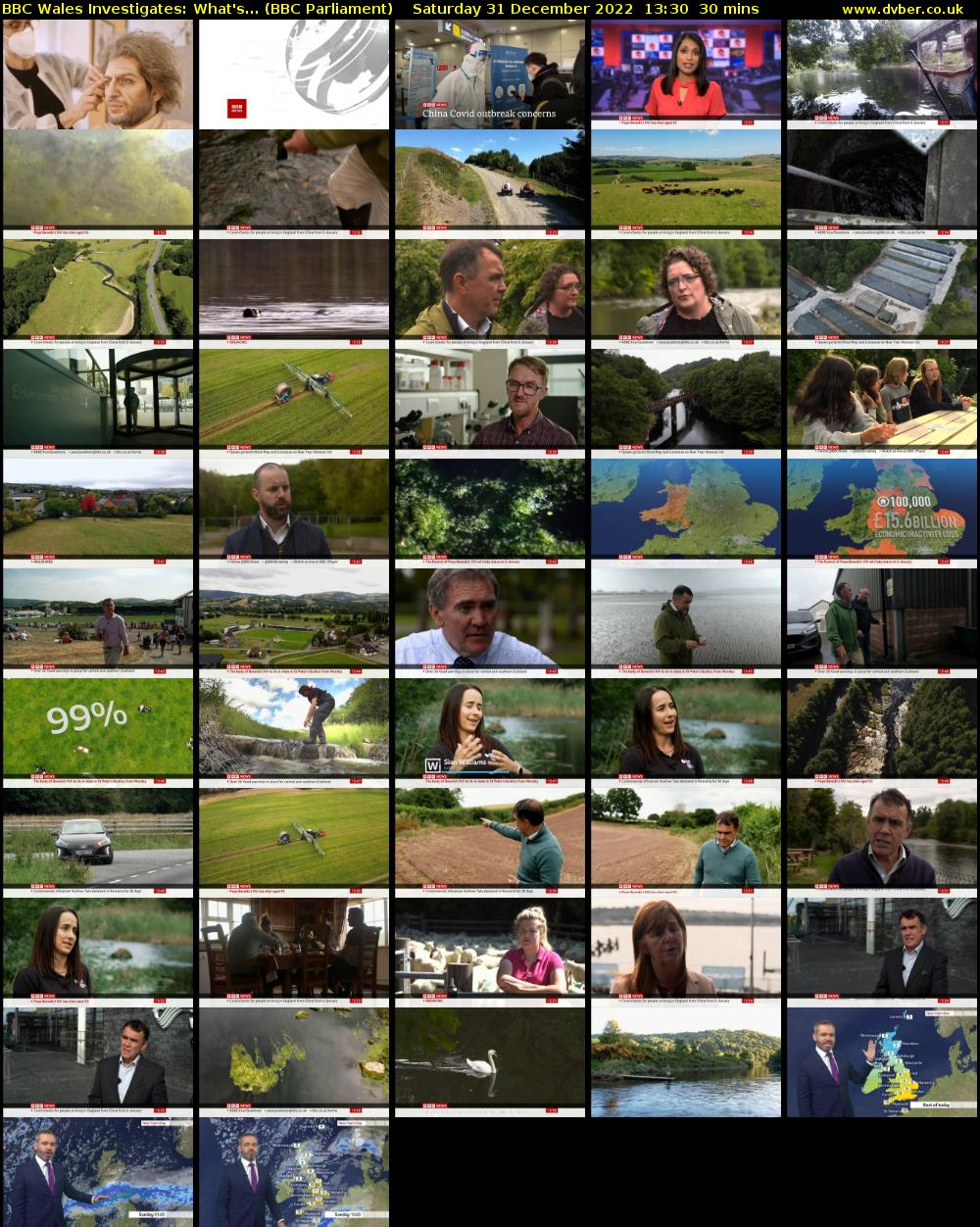 BBC Wales Investigates: What's... (BBC Parliament) Saturday 31 December 2022 13:30 - 14:00
