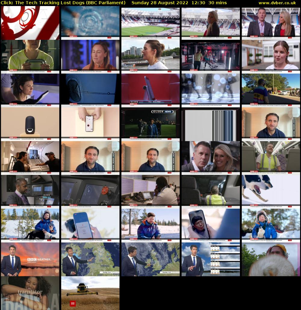 Click: The Tech Tracking Lost Dogs (BBC Parliament) Sunday 28 August 2022 12:30 - 13:00