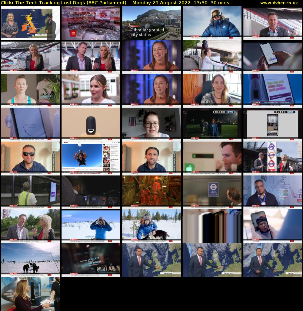 Click: The Tech Tracking Lost Dogs (BBC Parliament) Monday 29 August 2022 13:30 - 14:00