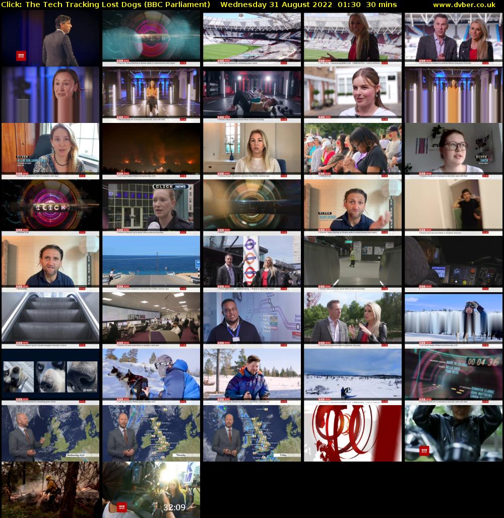 Click: The Tech Tracking Lost Dogs (BBC Parliament) Wednesday 31 August 2022 01:30 - 02:00
