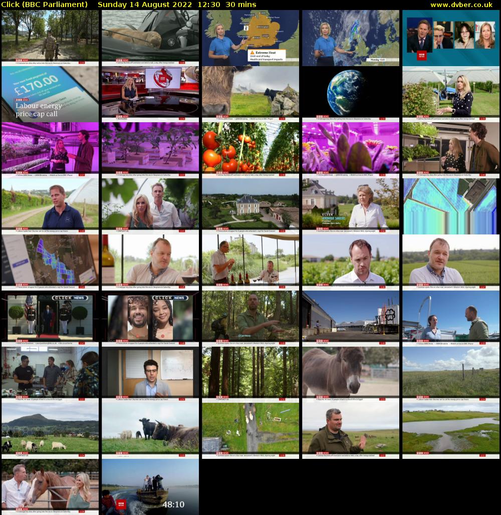 Click (BBC Parliament) Sunday 14 August 2022 12:30 - 13:00