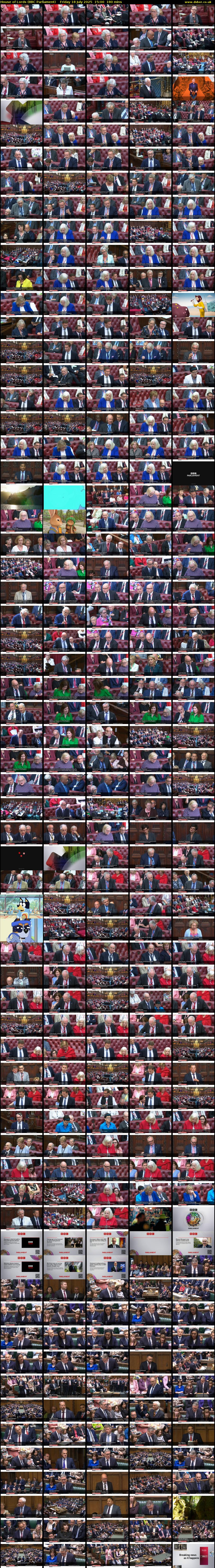 House of Lords (BBC Parliament) Friday 18 July 2025 15:00 - 18:00