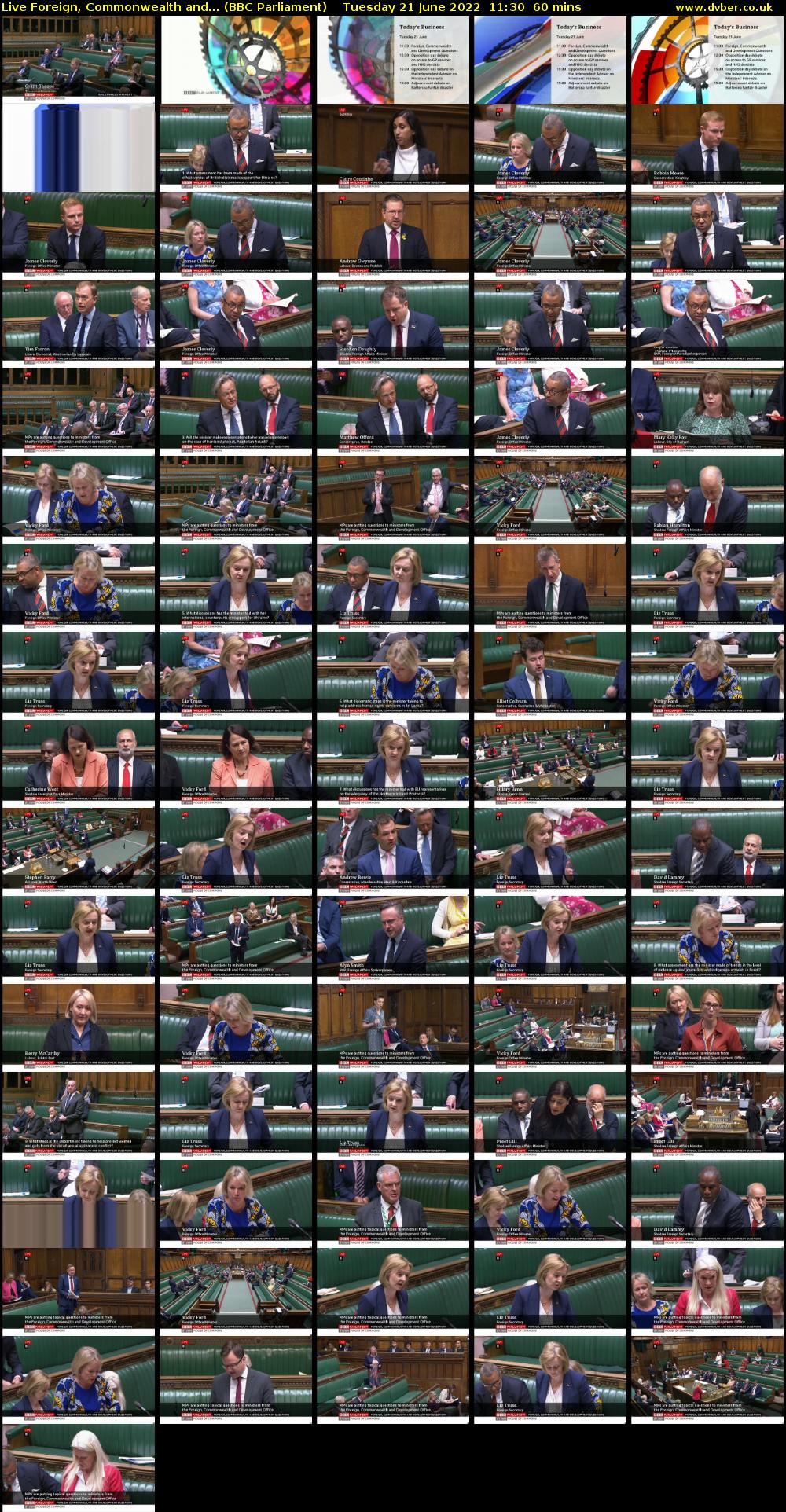 Live Foreign, Commonwealth and... (BBC Parliament) Tuesday 21 June 2022 11:30 - 12:30