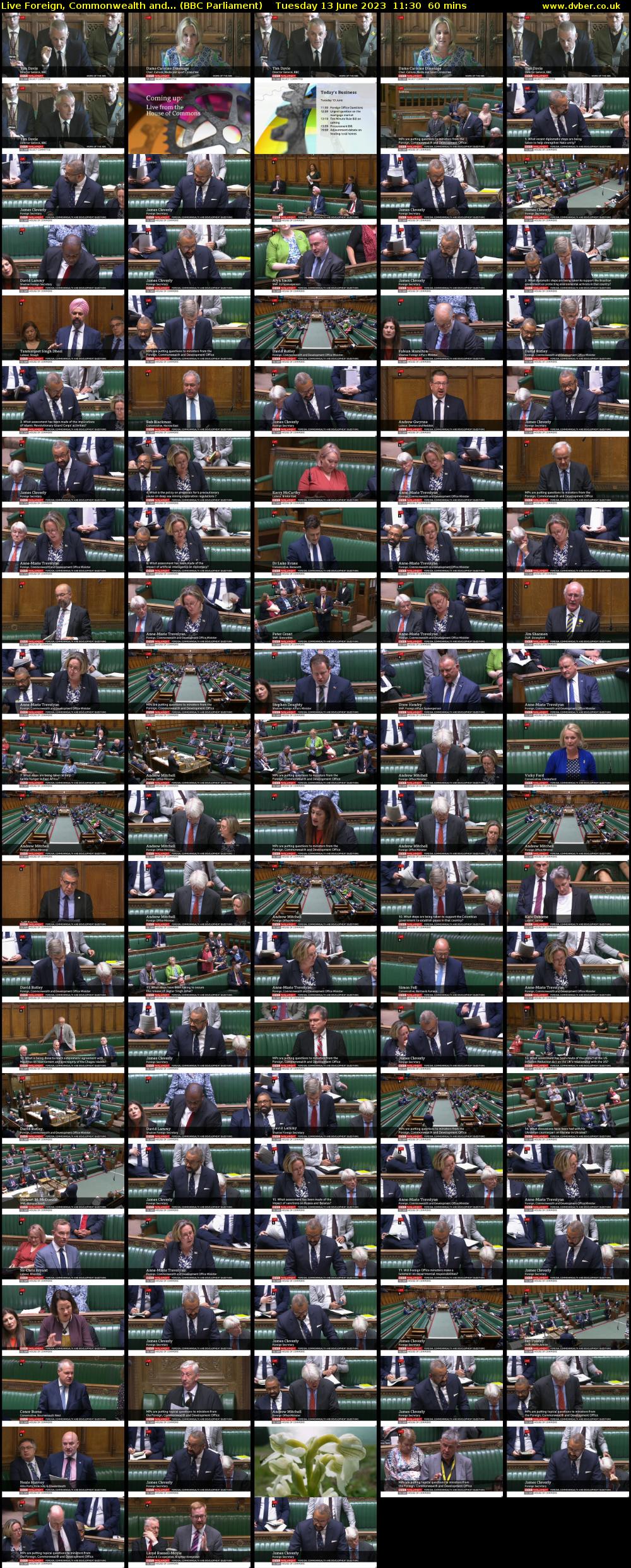 Live Foreign, Commonwealth and... (BBC Parliament) Tuesday 13 June 2023 11:30 - 12:30