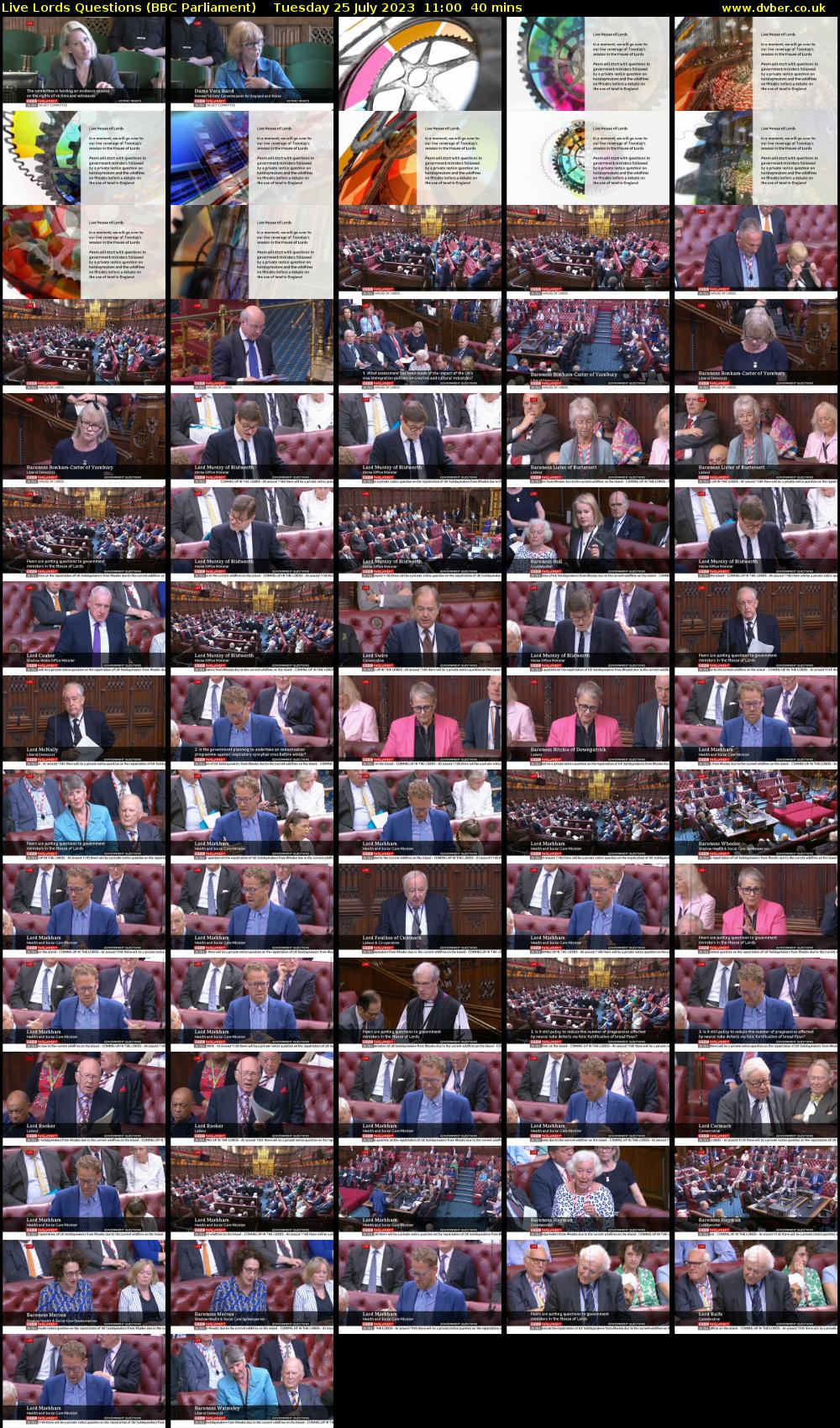 Live Lords Questions (BBC Parliament) Tuesday 25 July 2023 11:00 - 11:40
