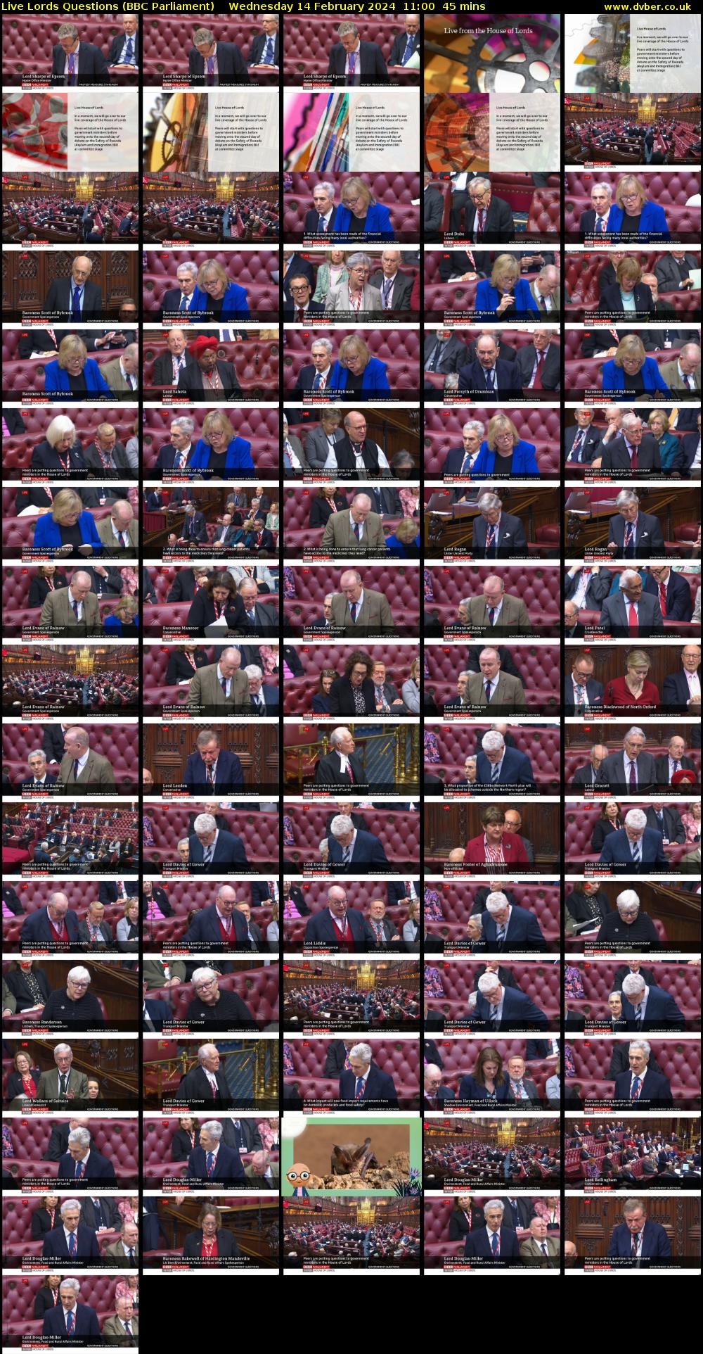 Live Lords Questions (BBC Parliament) Wednesday 14 February 2024 11:00 - 11:45