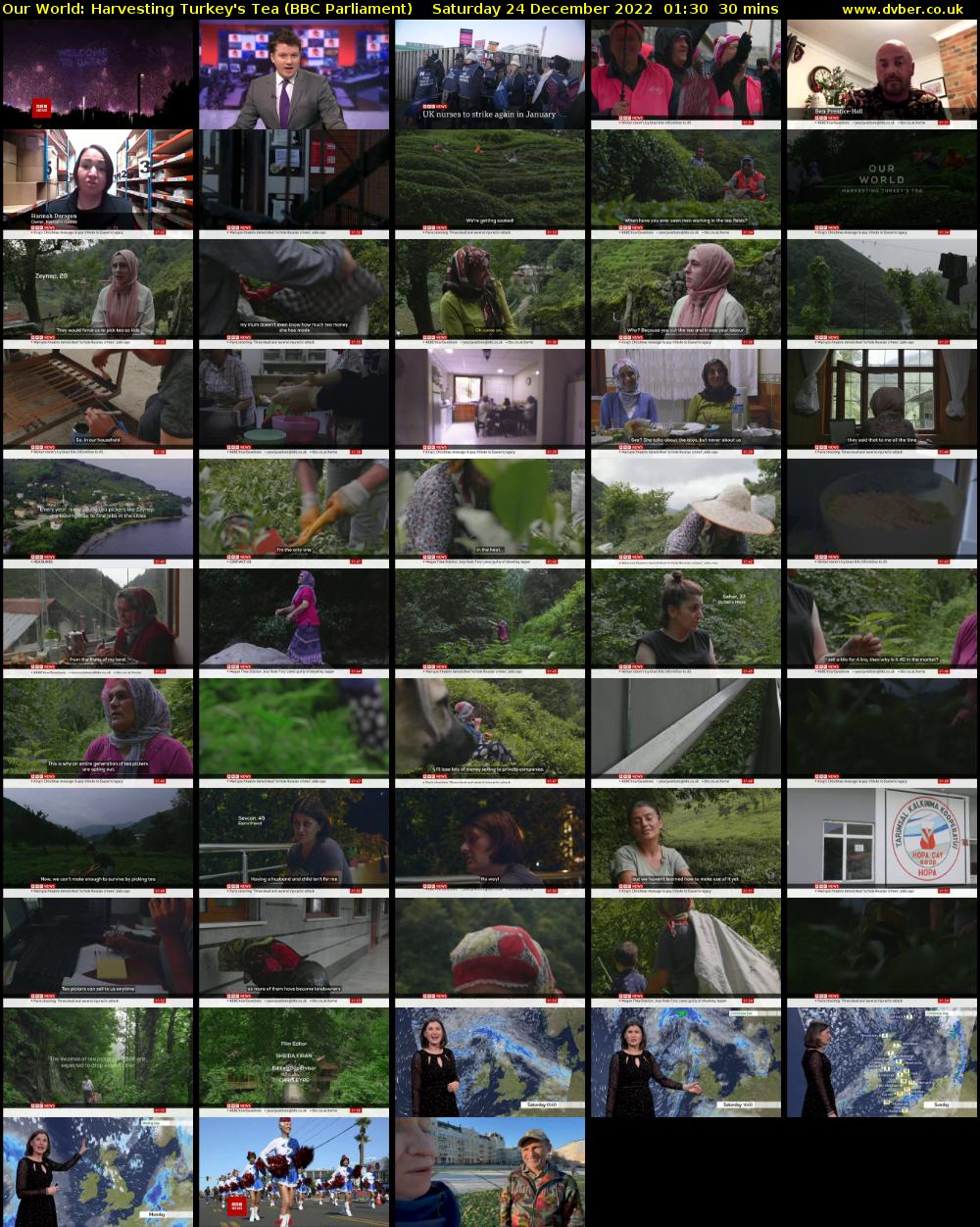 Our World: Harvesting Turkey's Tea (BBC Parliament) Saturday 24 December 2022 01:30 - 02:00