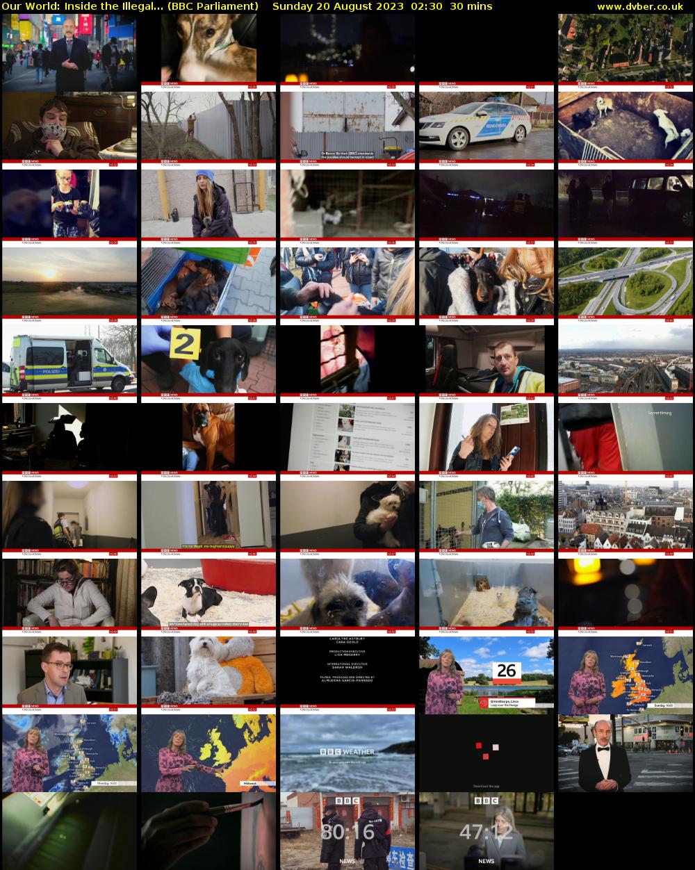 Our World: Inside the Illegal... (BBC Parliament) Sunday 20 August 2023 02:30 - 03:00