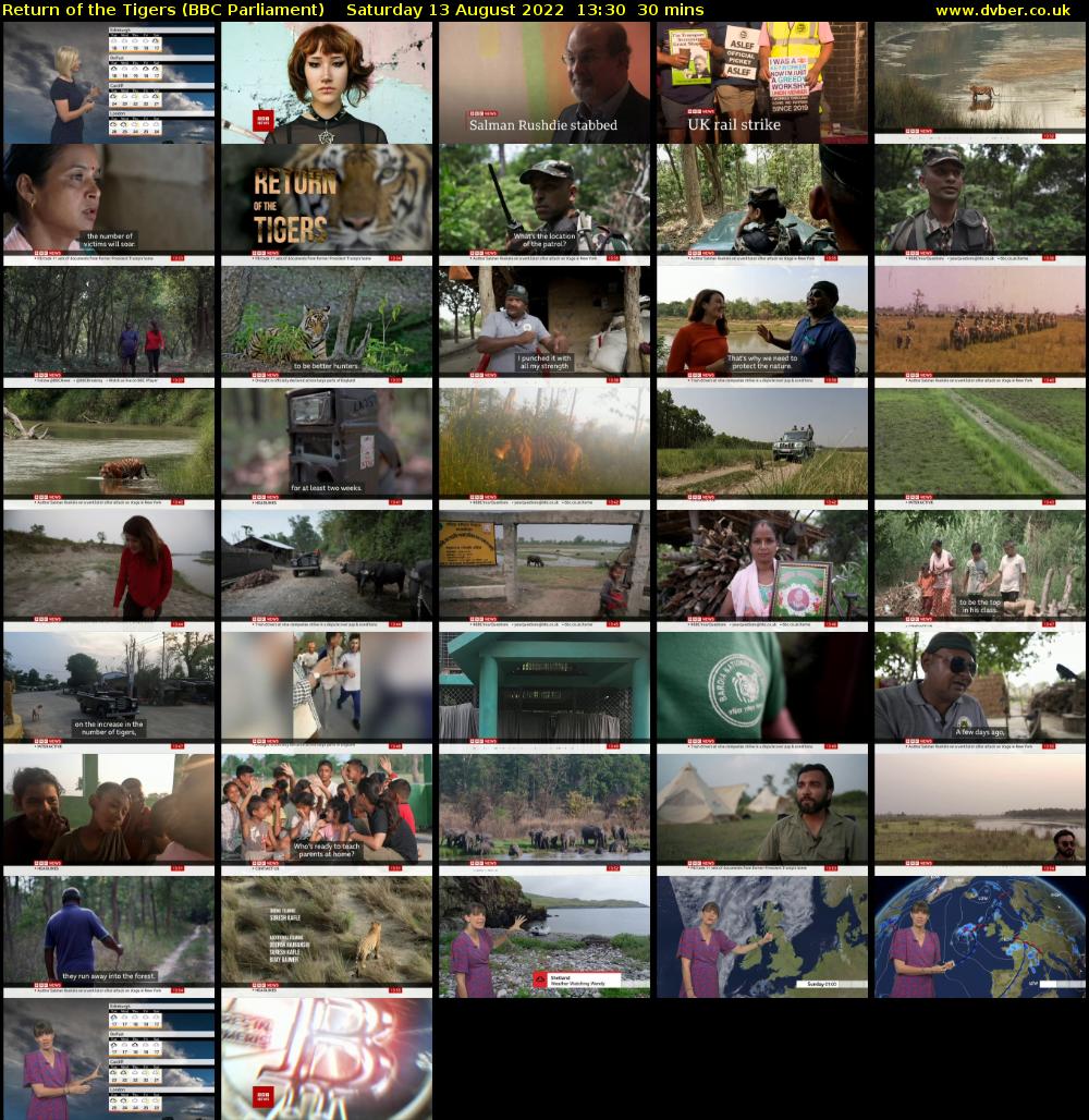 Return of the Tigers (BBC Parliament) Saturday 13 August 2022 13:30 - 14:00