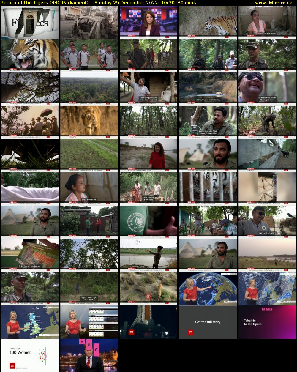 Return of the Tigers (BBC Parliament) Sunday 25 December 2022 10:30 - 11:00