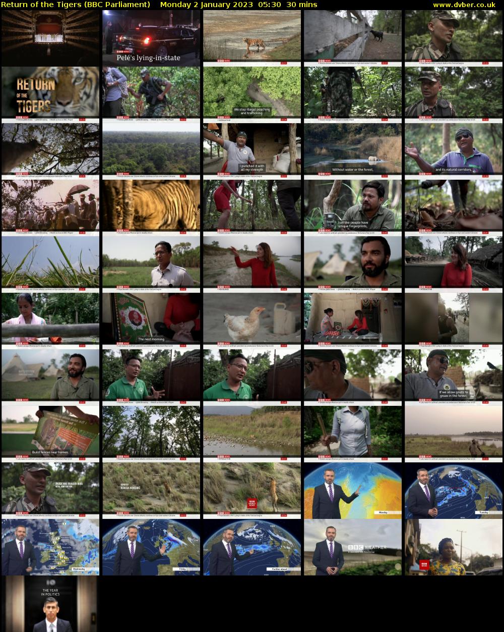 Return of the Tigers (BBC Parliament) Monday 2 January 2023 05:30 - 06:00