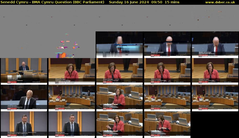 Senedd Cymru - BMA Cymru Question (BBC Parliament) Sunday 16 June 2024 09:50 - 10:05