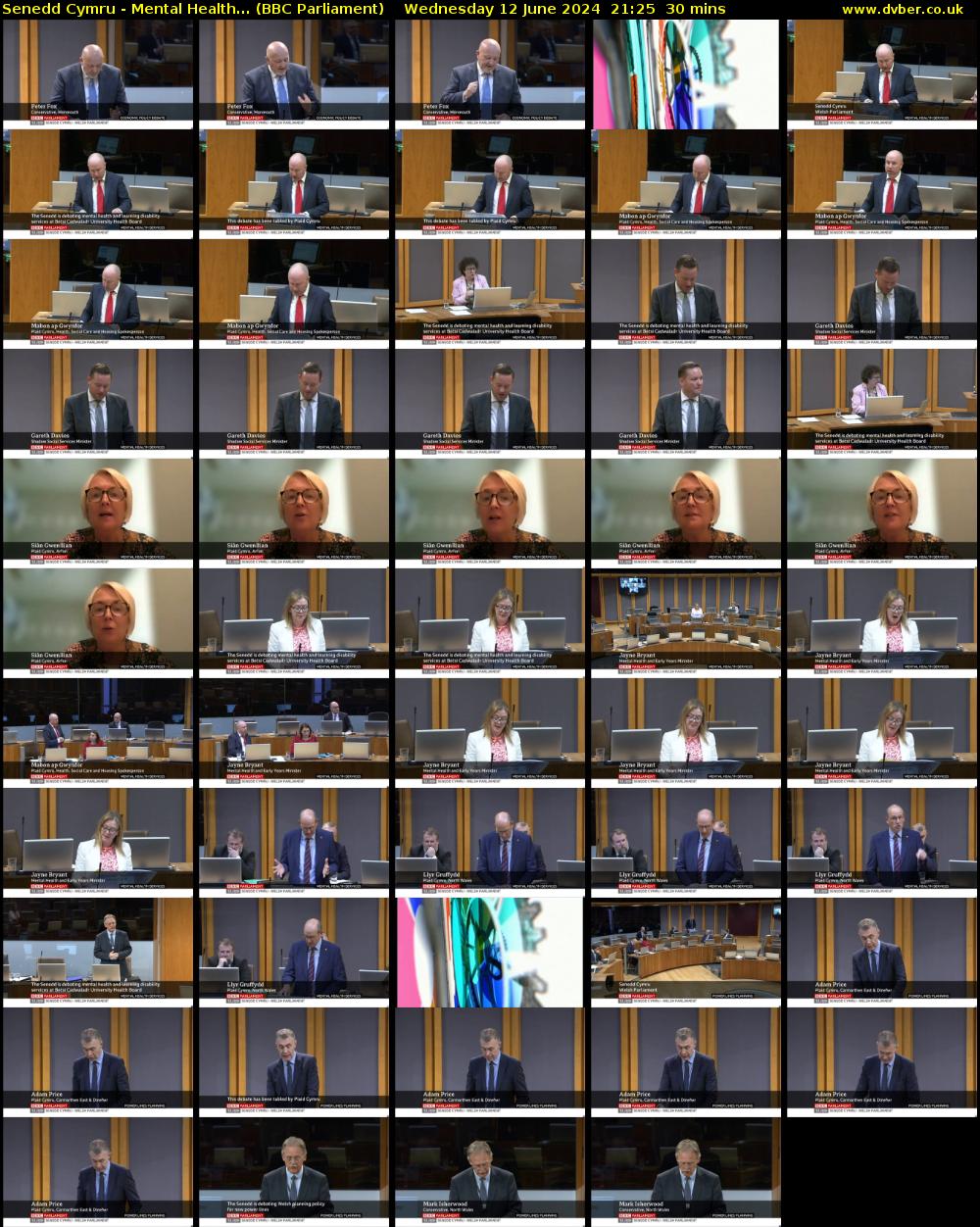 Senedd Cymru - Mental Health... (BBC Parliament) Wednesday 12 June 2024 21:25 - 21:55
