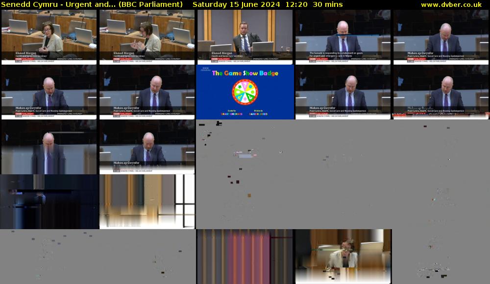 Senedd Cymru - Urgent and... (BBC Parliament) Saturday 15 June 2024 12:20 - 12:50