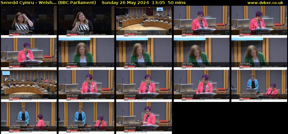 Senedd Cymru - Welsh... (BBC Parliament) Sunday 26 May 2024 13:05 - 13:55