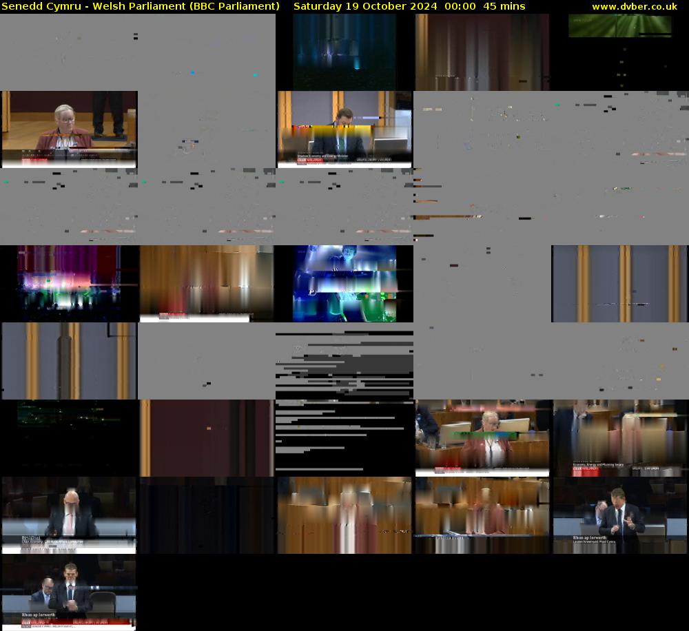 Senedd Cymru - Welsh Parliament (BBC Parliament) Saturday 19 October 2024 00:00 - 00:45