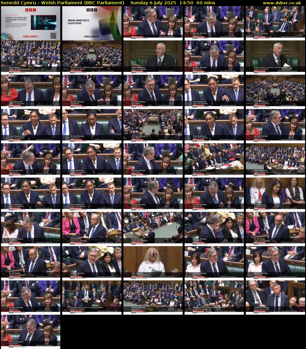 Senedd Cymru - Welsh Parliament (BBC Parliament) Sunday 6 July 2025 14:50 - 15:50