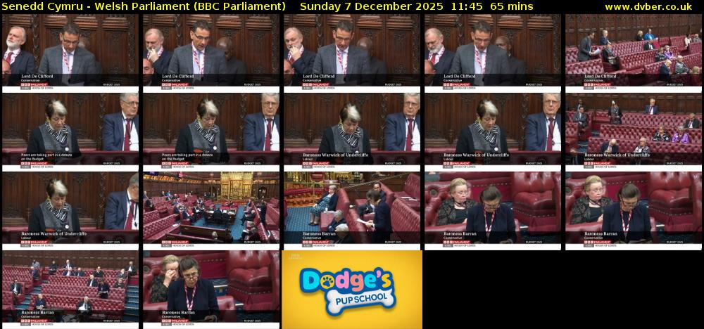 Senedd Cymru - Welsh Parliament (BBC Parliament) Sunday 7 December 2025 11:45 - 12:50