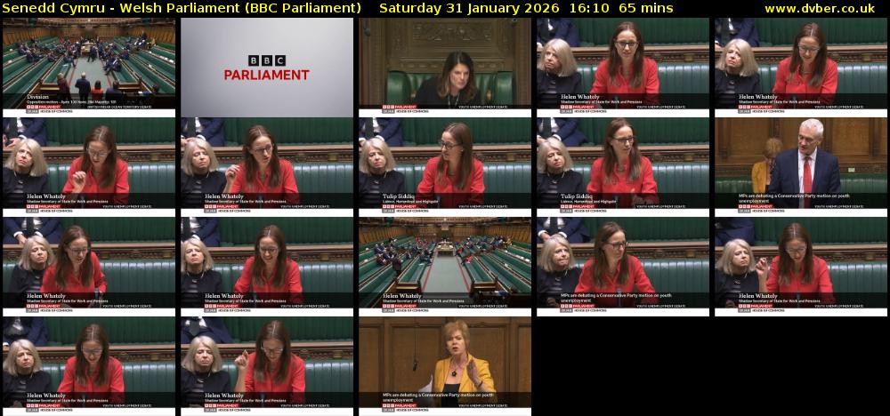 Senedd Cymru - Welsh Parliament (BBC Parliament) Saturday 31 January 2026 16:10 - 17:15