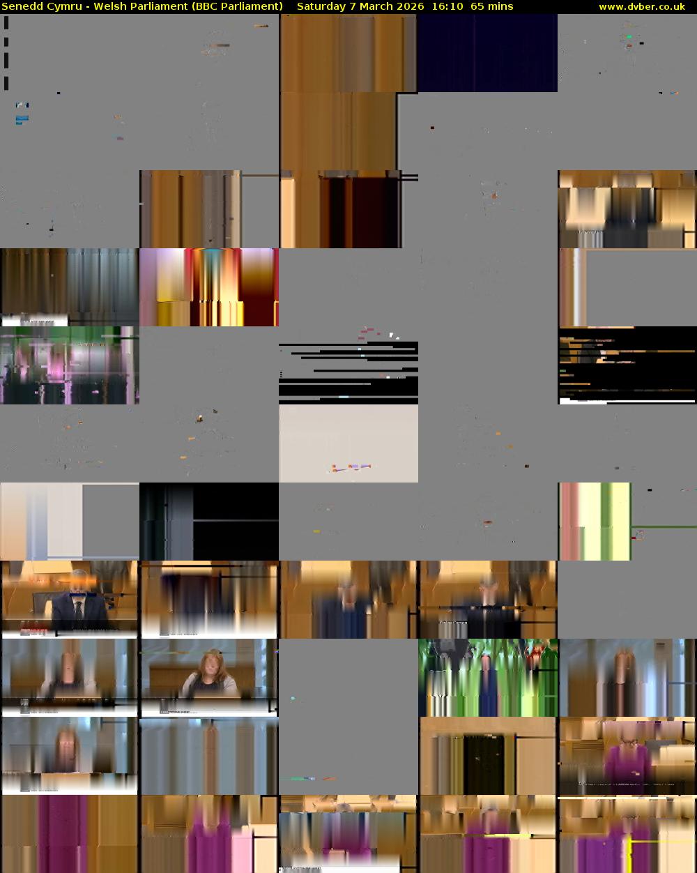 Senedd Cymru - Welsh Parliament (BBC Parliament) Saturday 7 March 2026 16:10 - 17:15