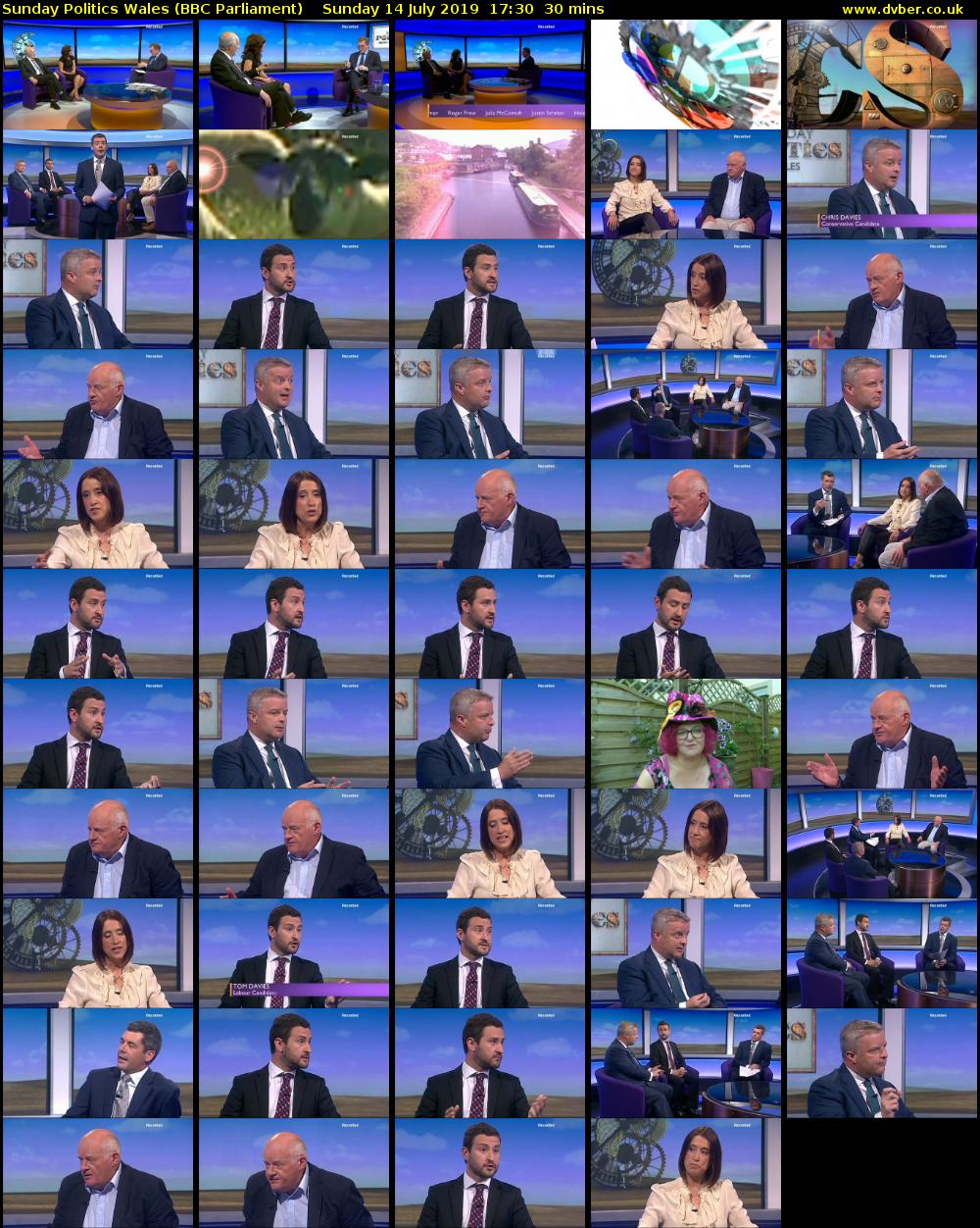Sunday Politics Wales (BBC Parliament) Sunday 14 July 2019 17:30 - 18:00