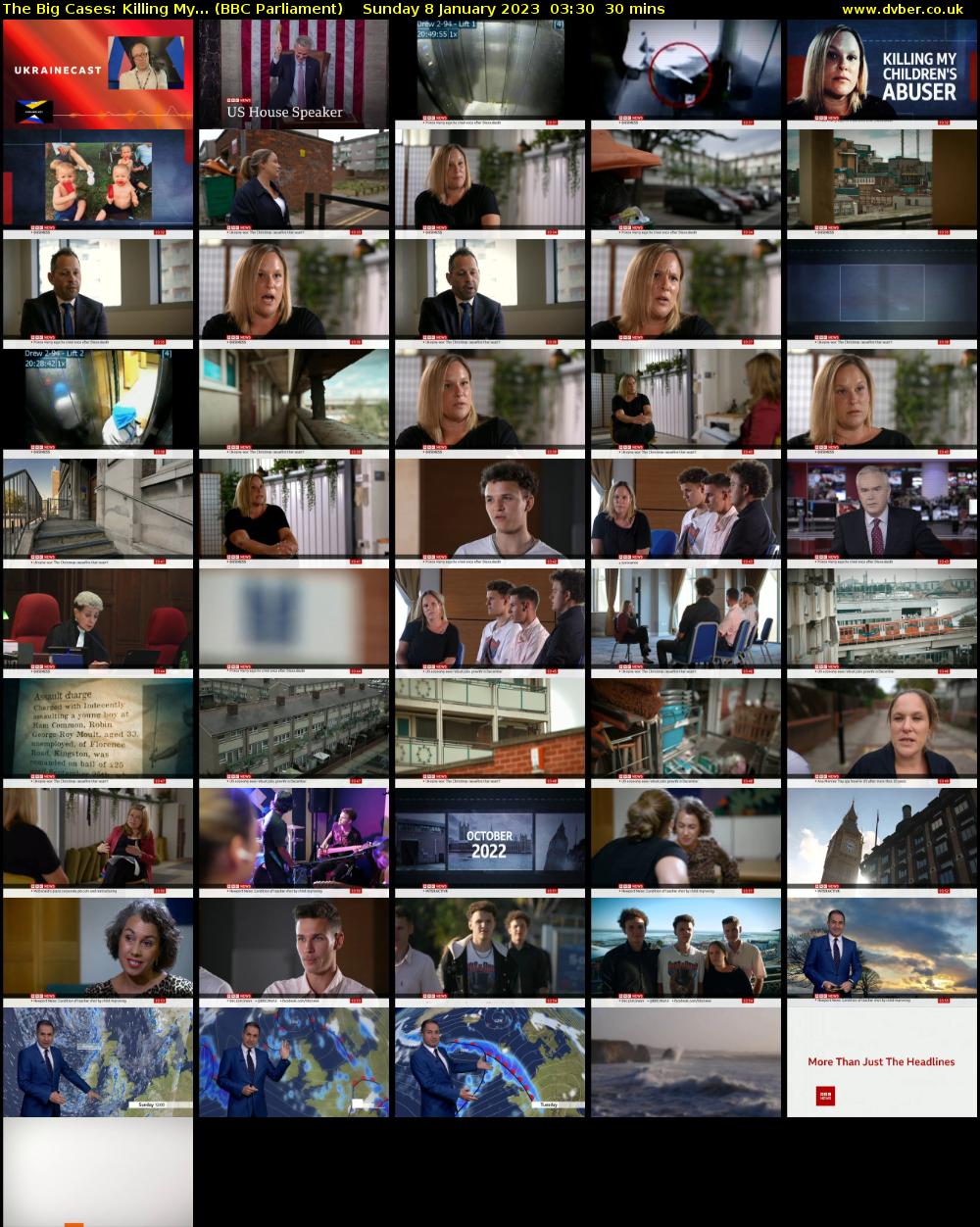 The Big Cases: Killing My... (BBC Parliament) Sunday 8 January 2023 03:30 - 04:00