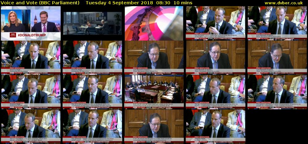 Voice and Vote (BBC Parliament) Tuesday 4 September 2018 08:30 - 08:40