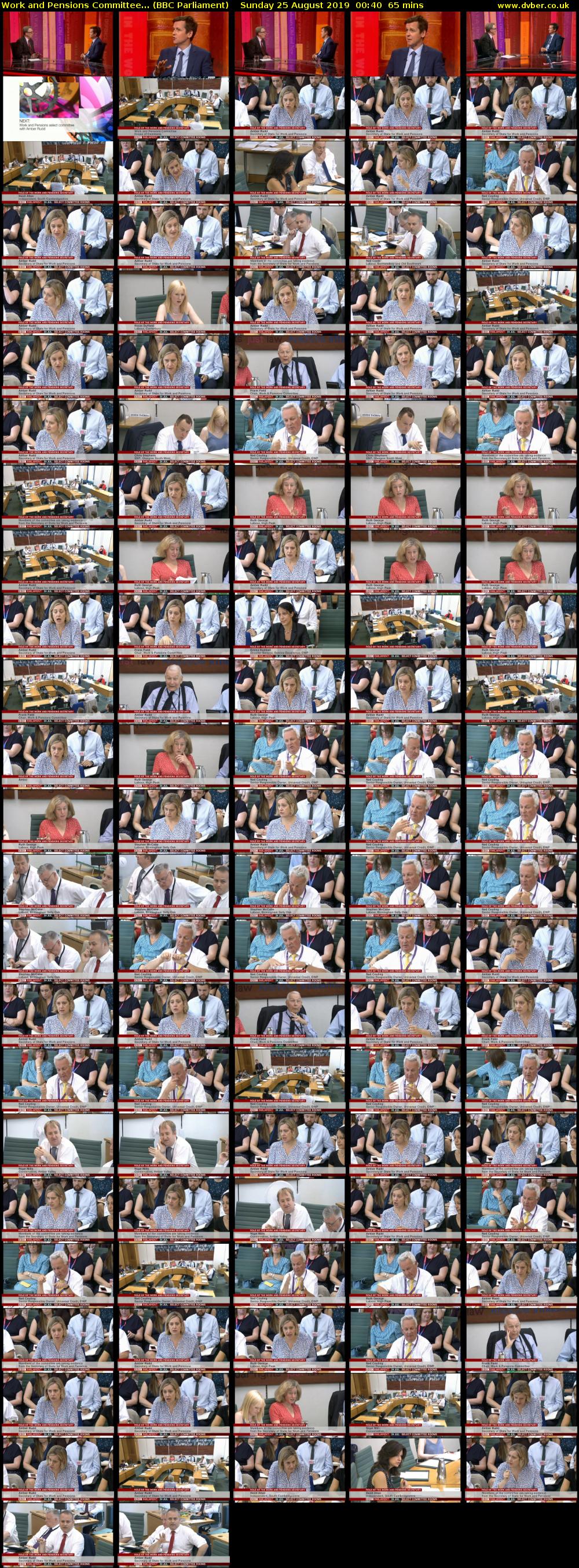 Work and Pensions Committee... (BBC Parliament) Sunday 25 August 2019 00:40 - 01:45