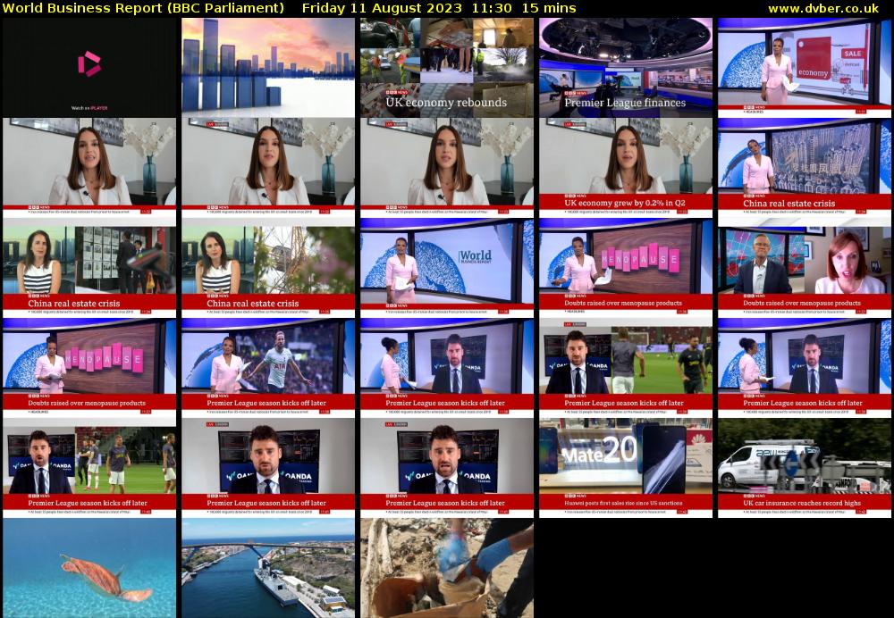 World Business Report (BBC Parliament) Friday 11 August 2023 11:30 - 11:45
