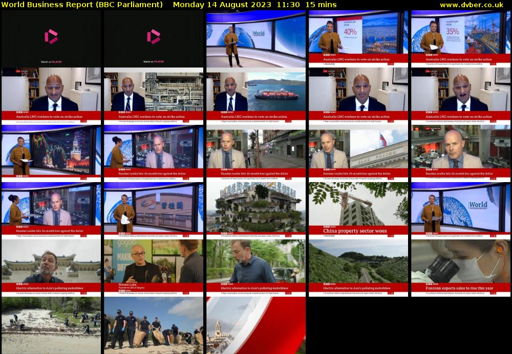 World Business Report (BBC Parliament) Monday 14 August 2023 11:30 - 11:45