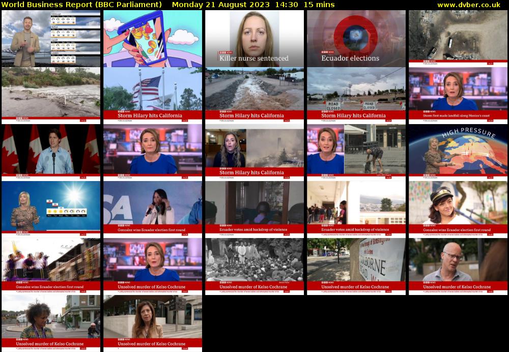 World Business Report (BBC Parliament) Monday 21 August 2023 14:30 - 14:45