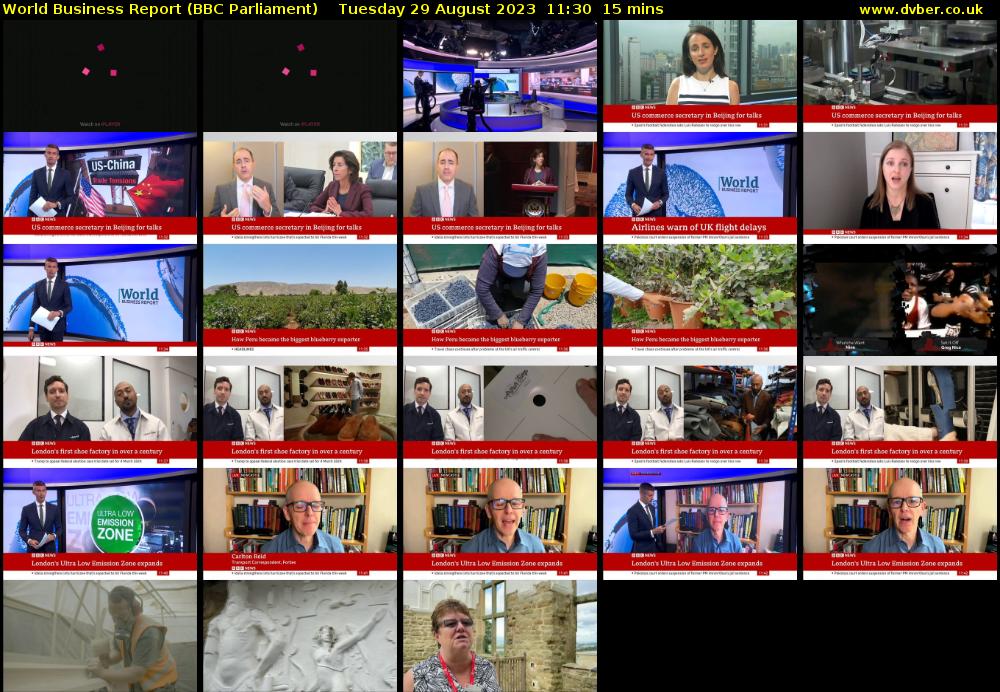 World Business Report (BBC Parliament) Tuesday 29 August 2023 11:30 - 11:45