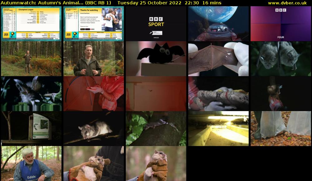 Autumnwatch: Autumn's Animal... (BBC RB 1) Tuesday 25 October 2022 22:30 - 22:46