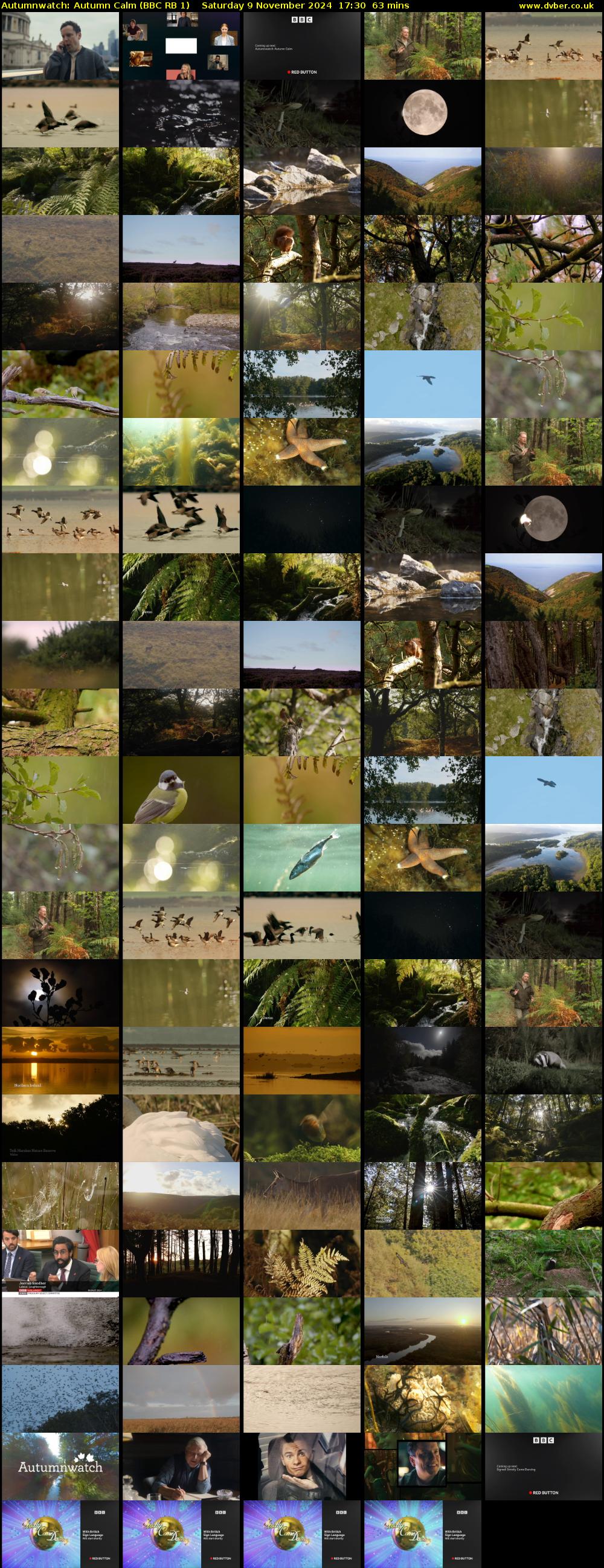 Autumnwatch: Autumn Calm (BBC RB 1) Saturday 9 November 2024 17:30 - 18:33