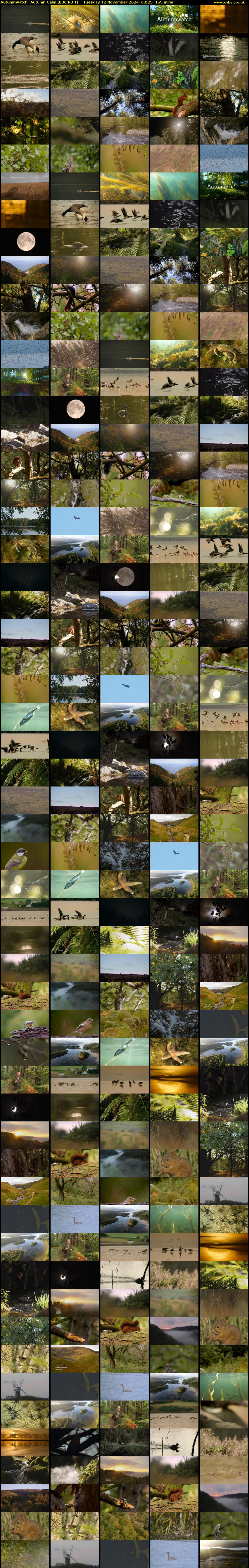 Autumnwatch: Autumn Calm (BBC RB 1) Tuesday 12 November 2024 03:25 - 06:00